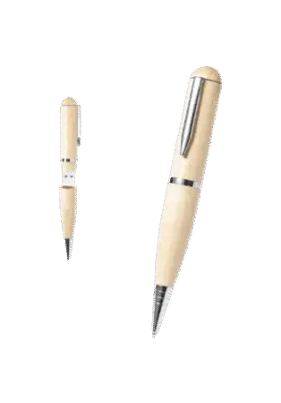 Stylo bille 2 en 1 USB 16GO