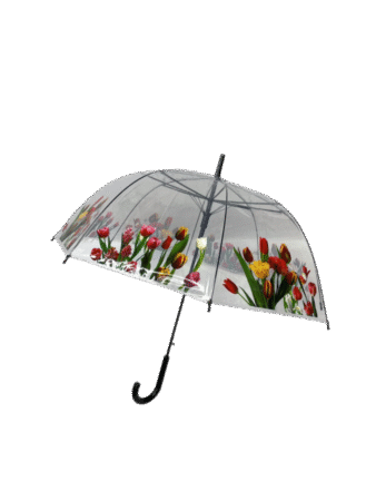 Parapluie automatique transparent cloche, thème "coquelicot"