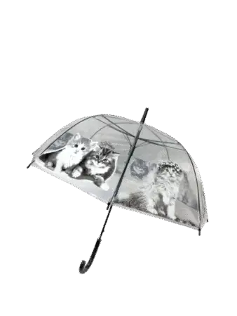 Parapluie automatique, cloche transparent  thème " Chats couronnés fleurs "