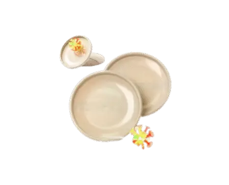 Jeu de balle et pagaies à disque. Comprend une balle avec des ventouses et des lames de disque lisses, en canne de blé résistante, avec une sangle élastique assortie pour les mains.