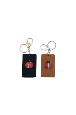 Porte-clés Plaque motifs coccinelle modèles assortis