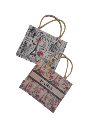 Sac Shopping PM "monuments de Paris"modèles assortis 260X150X140mm
