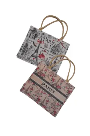 Sac Shopping PM "monuments de Paris"modèles assortis 260X150X140mm