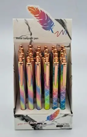 Stylo bille retractable modèles assortisx24